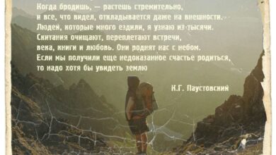 Photo of Юмор о путешествиях и отпуске