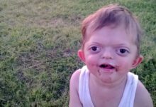 Photo of Комические ситуации на даче